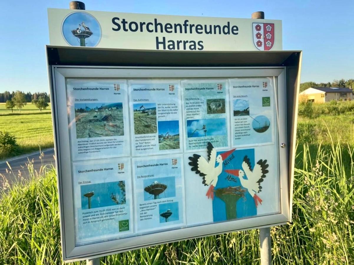 Ferienwohnung Storchennest Eisfeld Exteriér fotografie